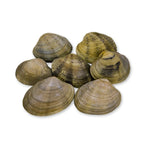 Cargar imagen en el visor de la galería, Almeja japónica