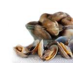 Cargar imagen en el visor de la galería, Almeja babosa