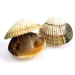 Cargar imagen en el visor de la galería, Berberecho (Croque o escopinya)