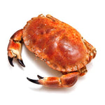 Cargar imagen en el visor de la galería, Buey de mar