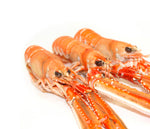 Cargar imagen en el visor de la galería, Cigala gallega