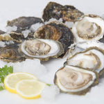 Cargar imagen en el visor de la galería, Ostra plana