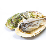 Cargar imagen en el visor de la galería, Ostra plana