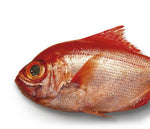 Cargar imagen en el visor de la galería, Palometa roja o virrey