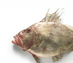 Cargar imagen en el visor de la galería, Pez de San Pedro (Martiño)