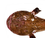 Cargar imagen en el visor de la galería, Rape blanco (colas)