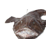 Cargar imagen en el visor de la galería, Rape negro (colas)